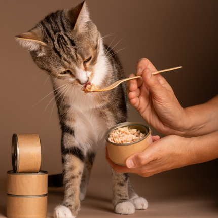 Collection image for: Kattensnacks